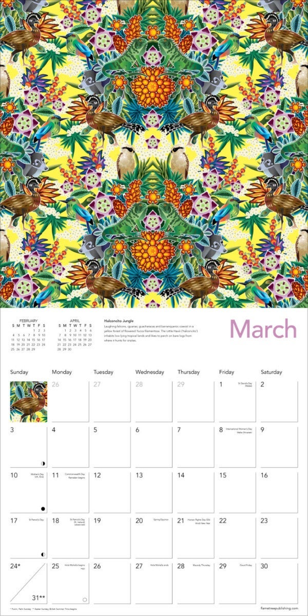 Kalender 2024 Catalina Estrada 30x30cm