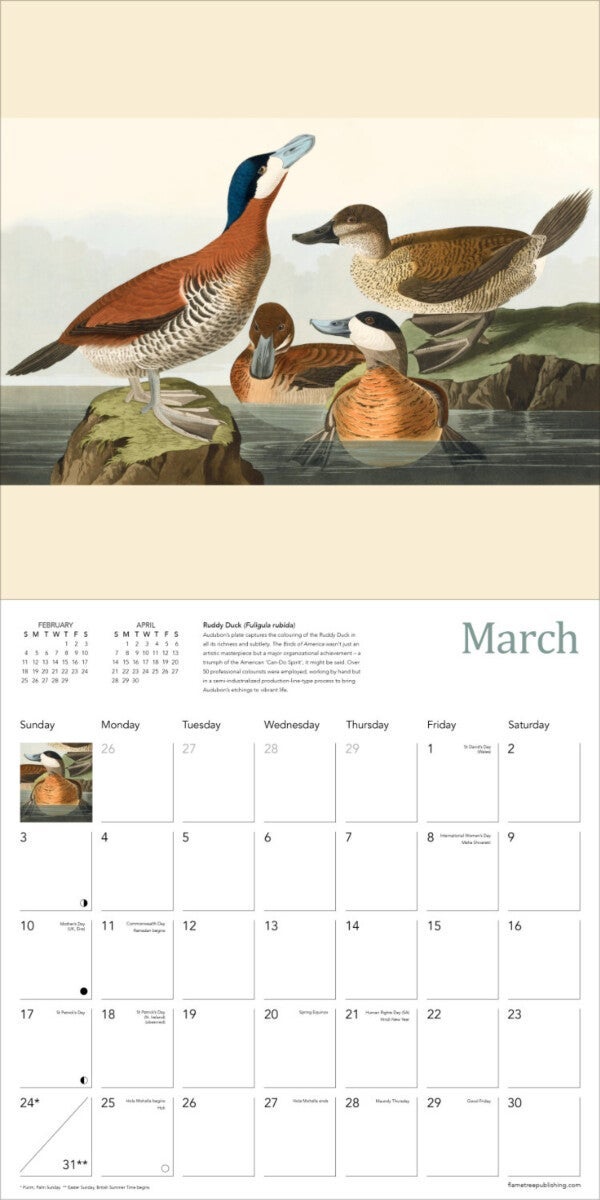Kalender 2024 Audubon Birds 30x30cm