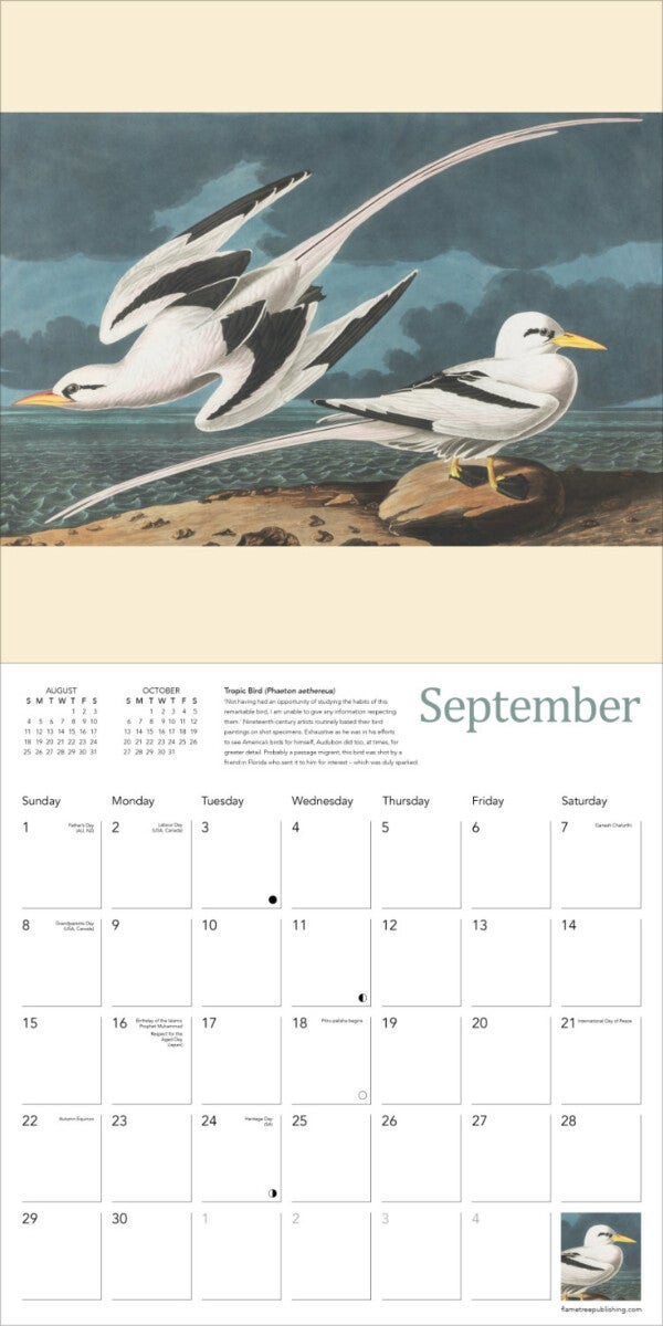 Kalender 2024 Audubon Birds 30x30cm