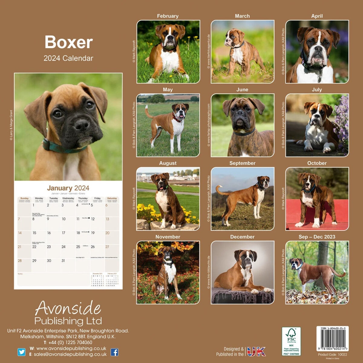 Kalender 2024 Boxer 30x30cm