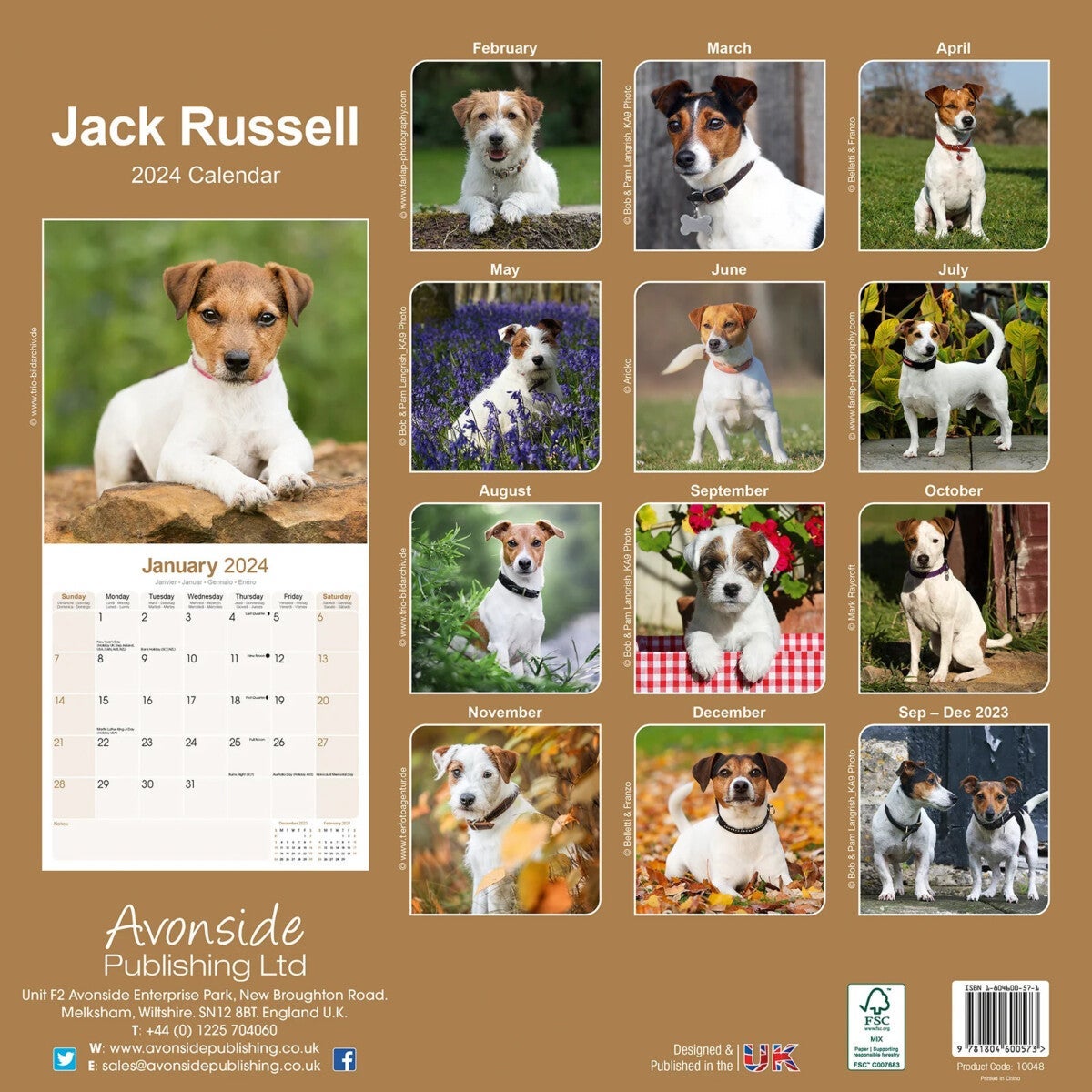 Kalender 2024 Jack Russell 30x30cm