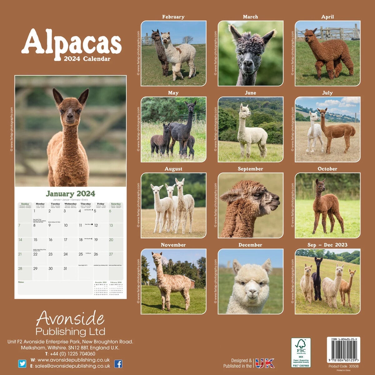 Kalender 2024 Alpacas 30x30cm