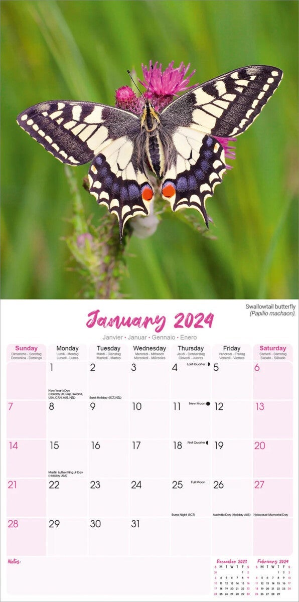 Kalender 2024 Butterflies 30x30cm