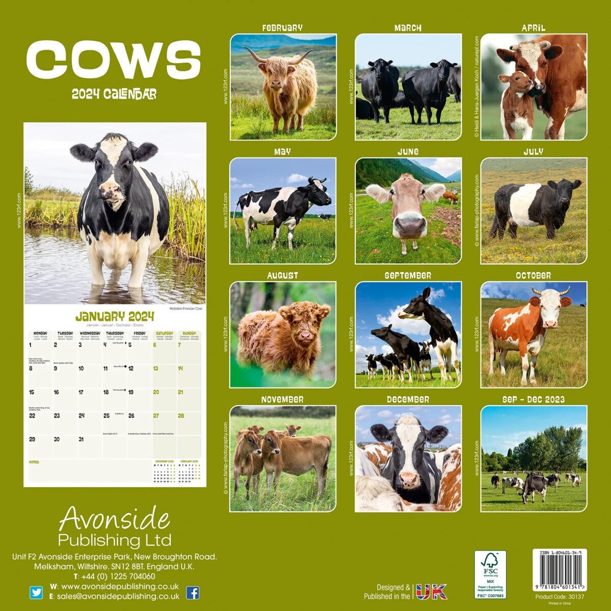 Kalender 2024 Cows 30x30cm