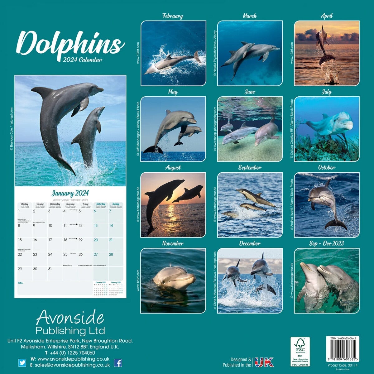 Kalender 2024 Dolphins 30x30cm