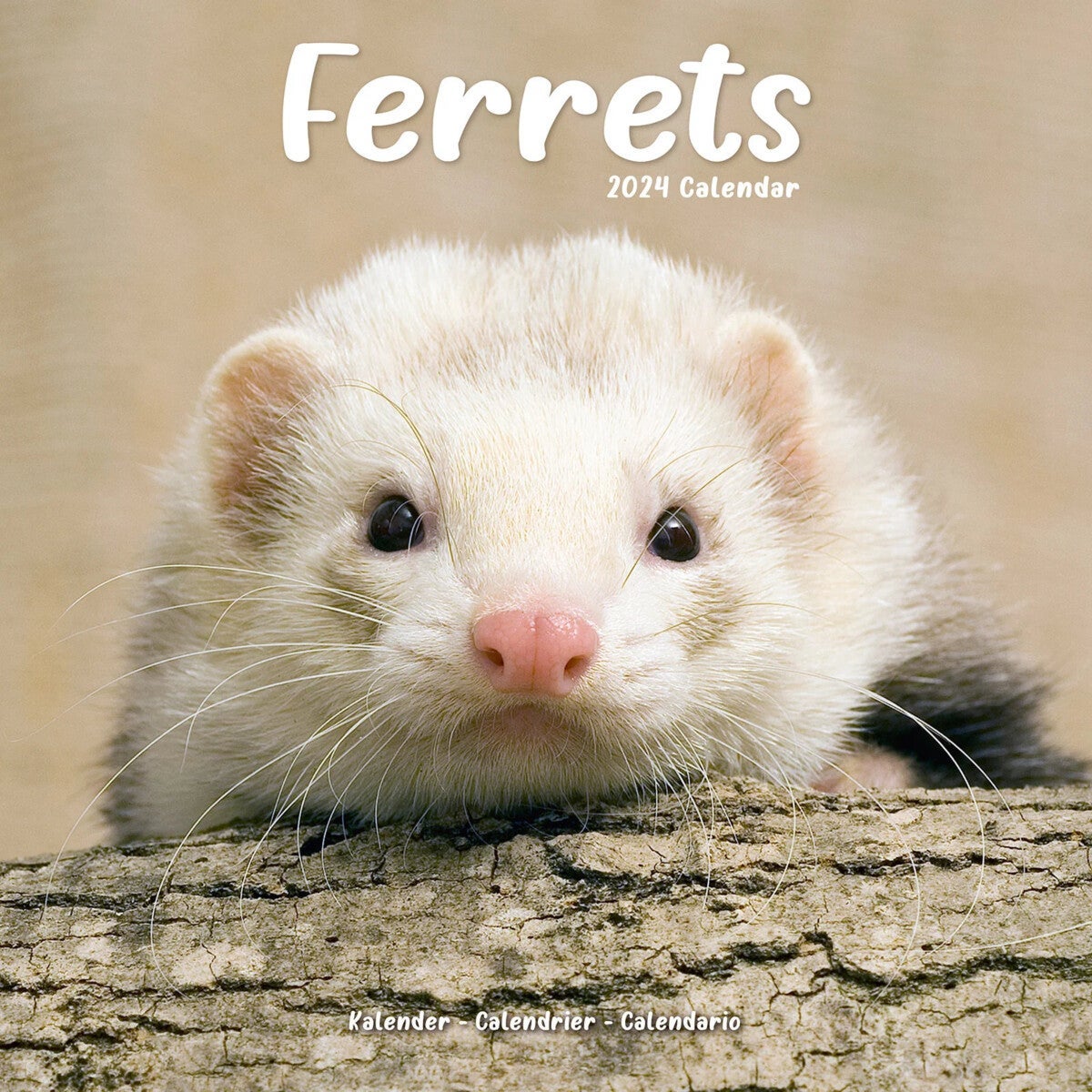 Kalender 2024 Ferrets 30x30cm