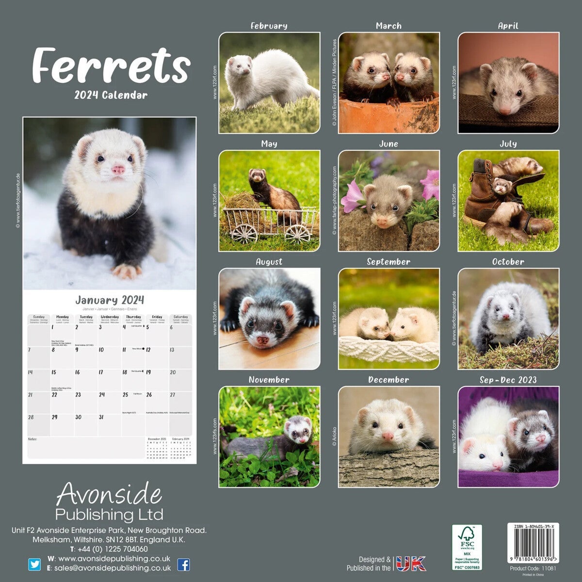 Kalender 2024 Ferrets 30x30cm