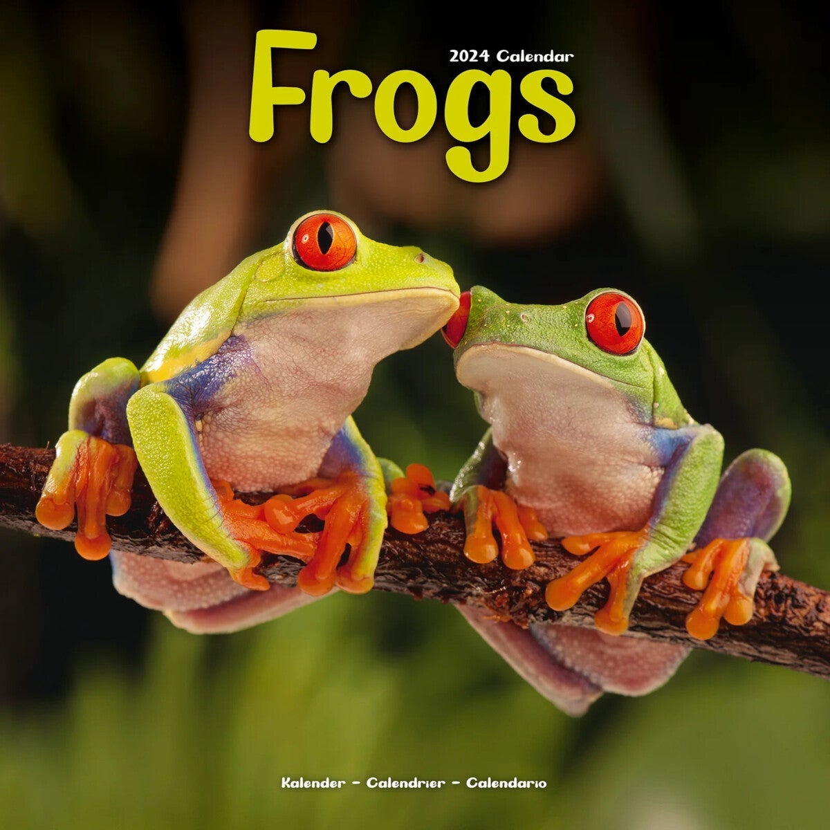 Kalender 2024 Frogs 30x30cm