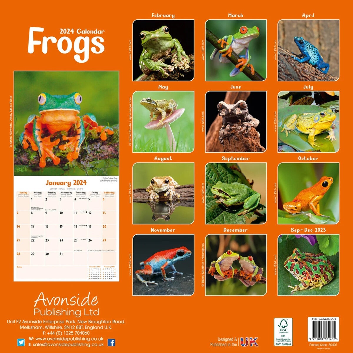 Kalender 2024 Frogs 30x30cm