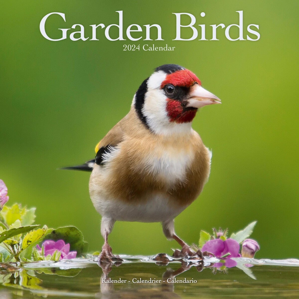 Kalender 2024 Garden Birds 30x30cm
