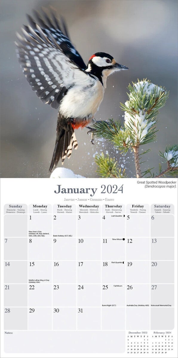 Kalender 2024 Garden Birds 30x30cm