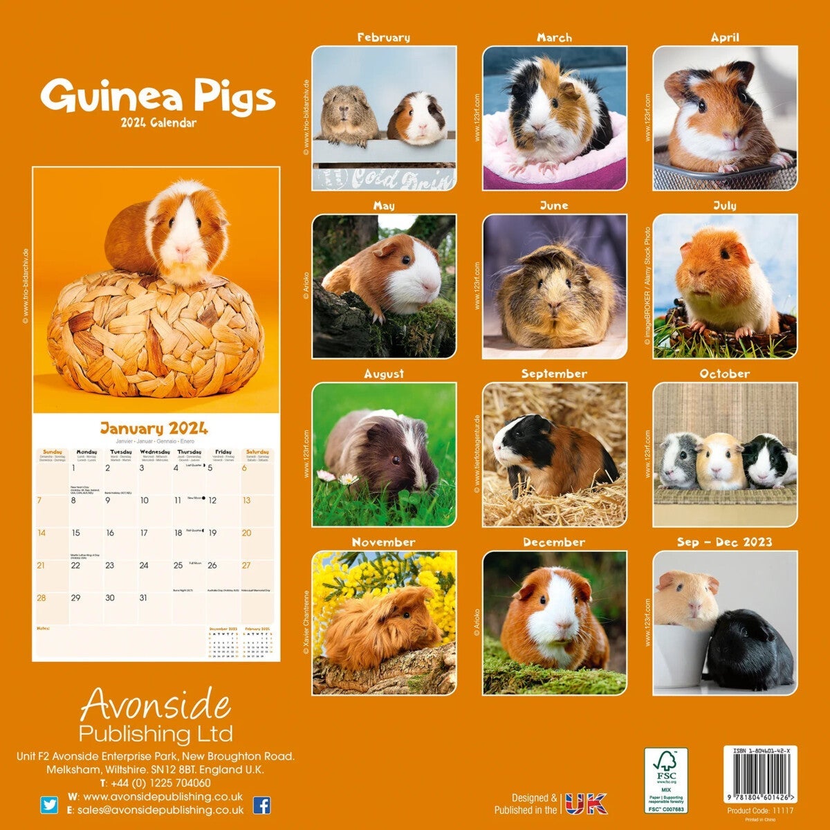 Kalender 2024 Guinea Pigs 30x30cm