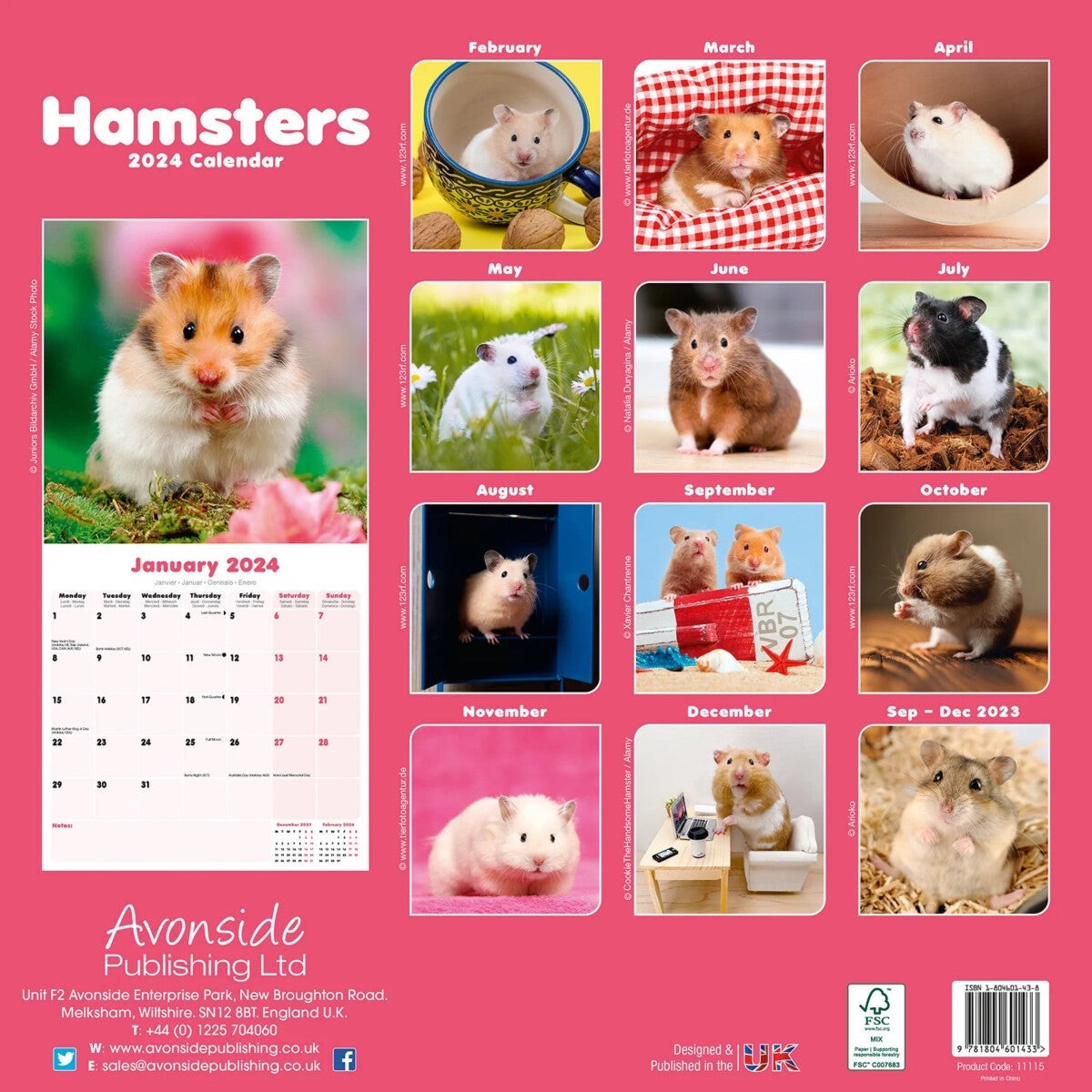 Kalender 2024 Hamsters 30x30cm