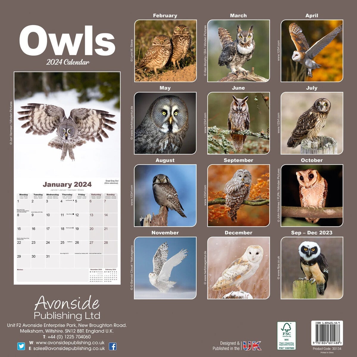 Kalender 2024 Owls 30x30cm