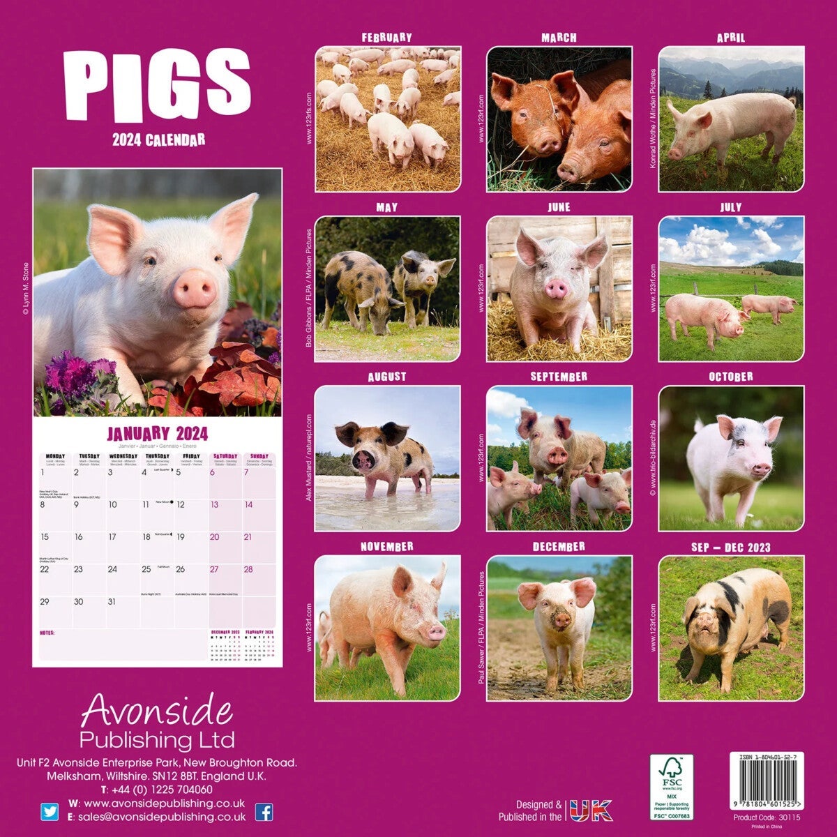 Kalender 2024 Pigs 30x30cm