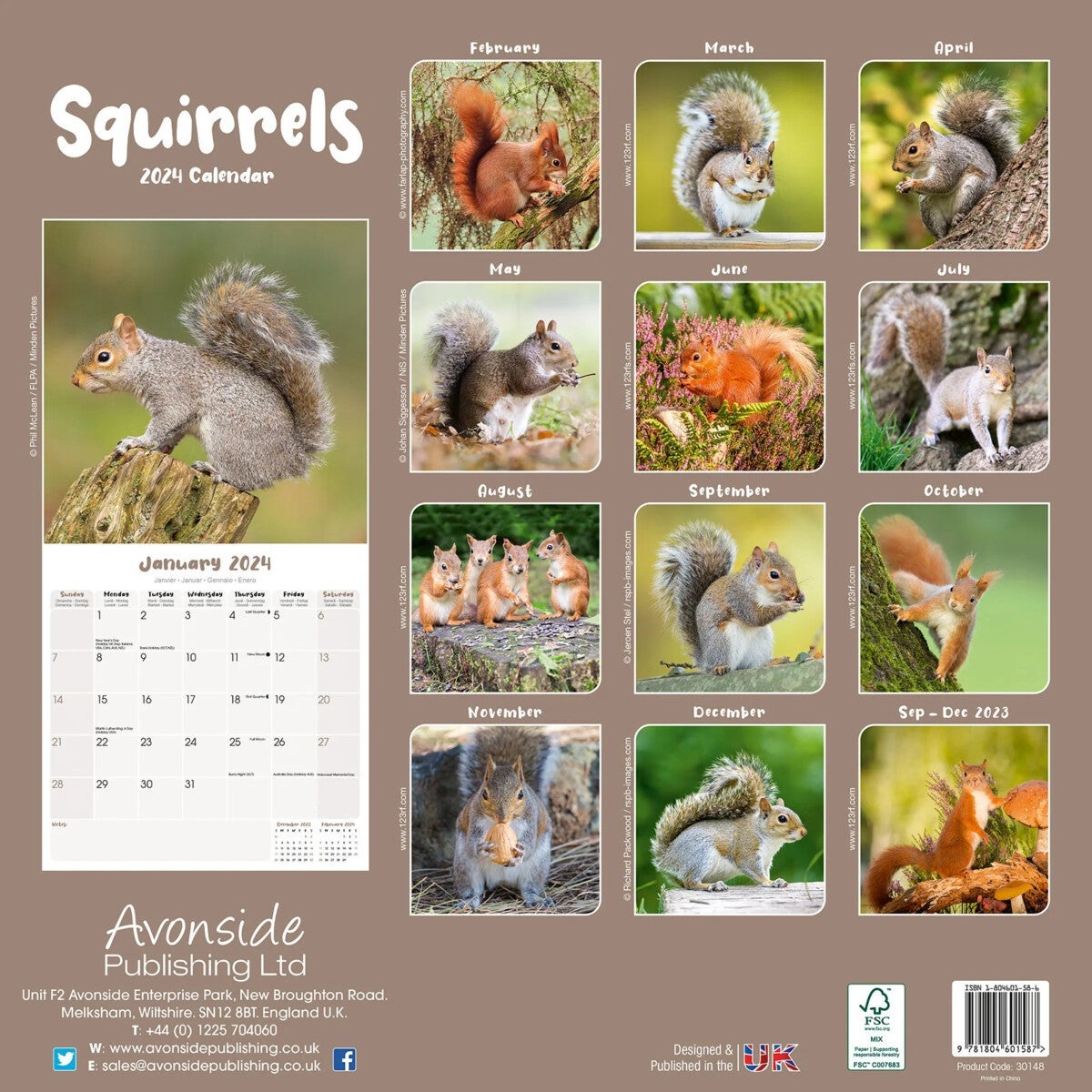 Kalender 2024 Squirrels 30x30cm