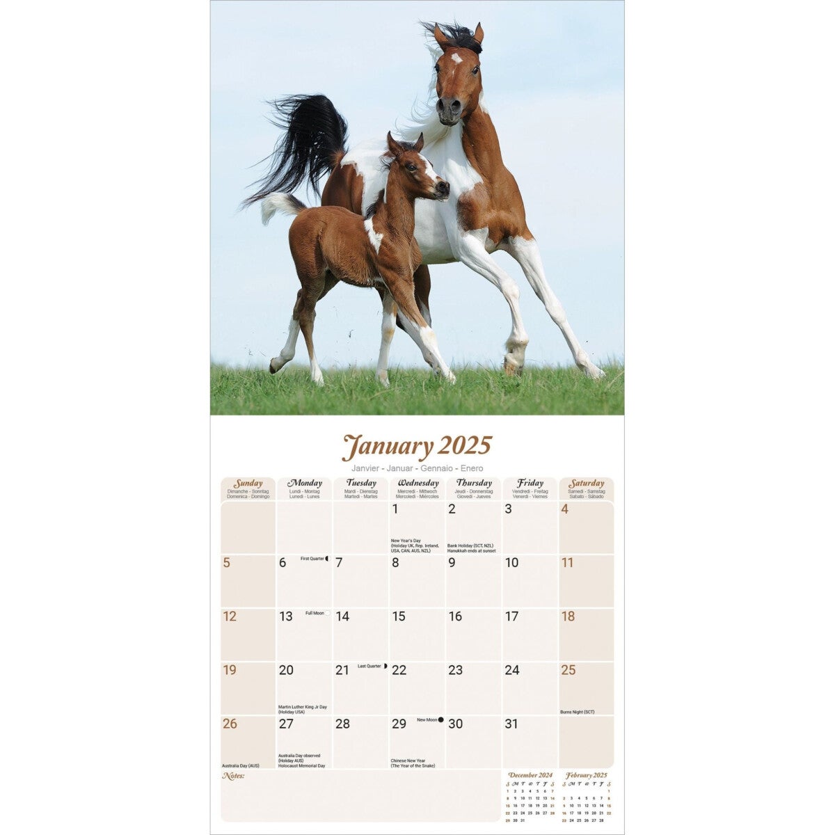 Kalender 2025 Arabian Horses 30x30cm