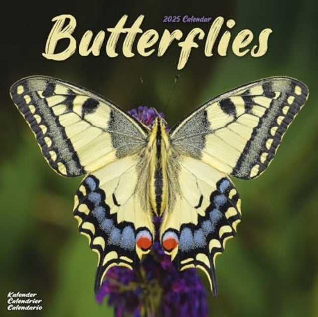 Kalender 2025 Butterflies 30x30cm
