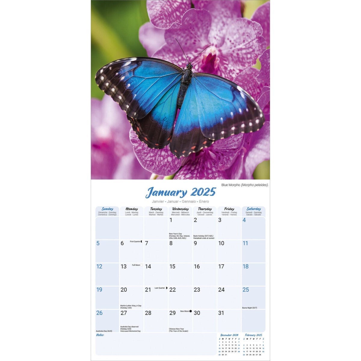 Kalender 2025 Butterflies 30x30cm
