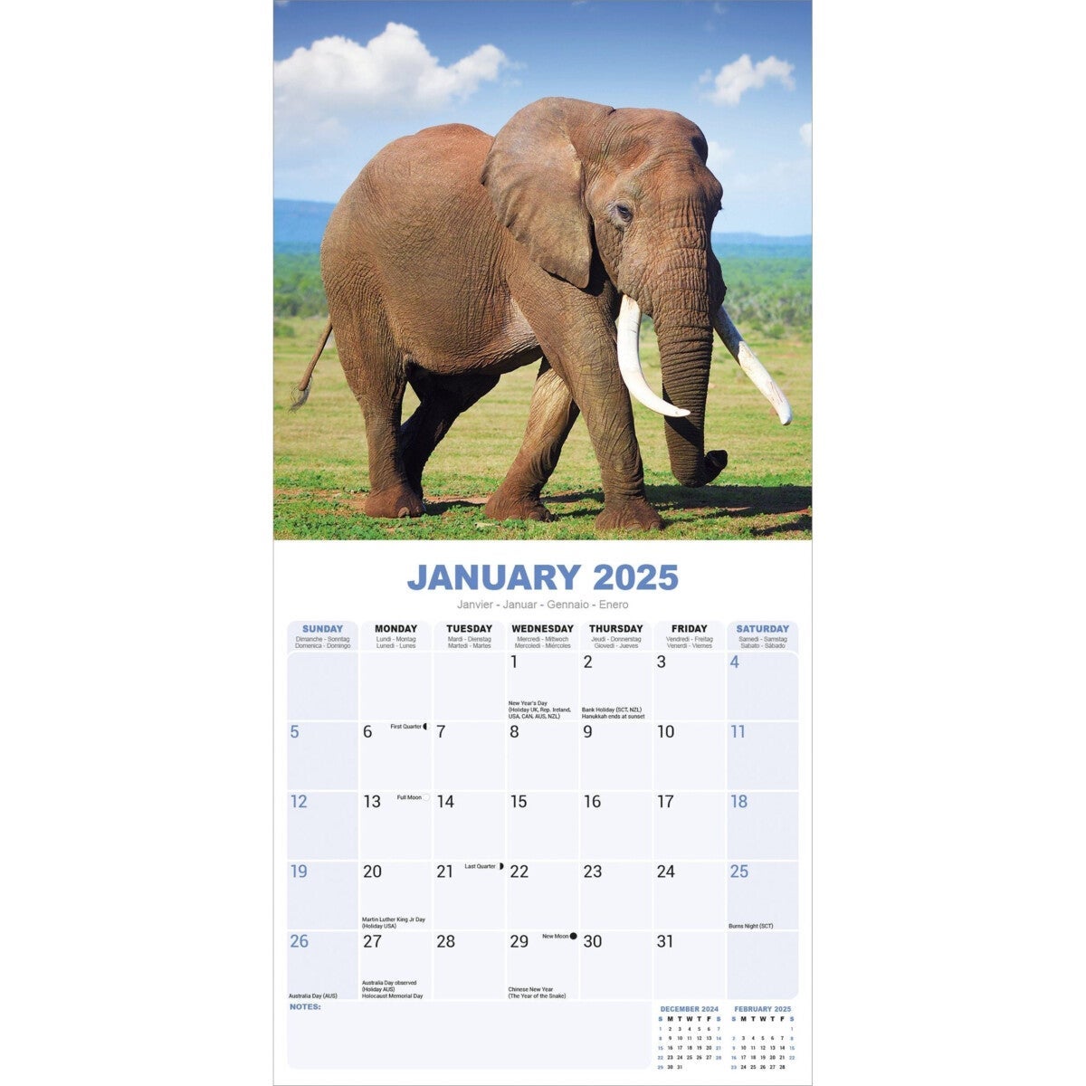 Kalender 2025 Elephants 30x30cm