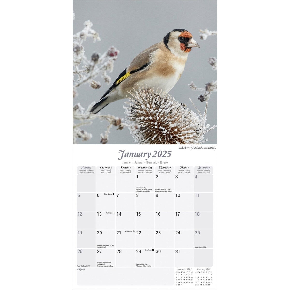 Kalender 2025 Garden Birds 30x30cm