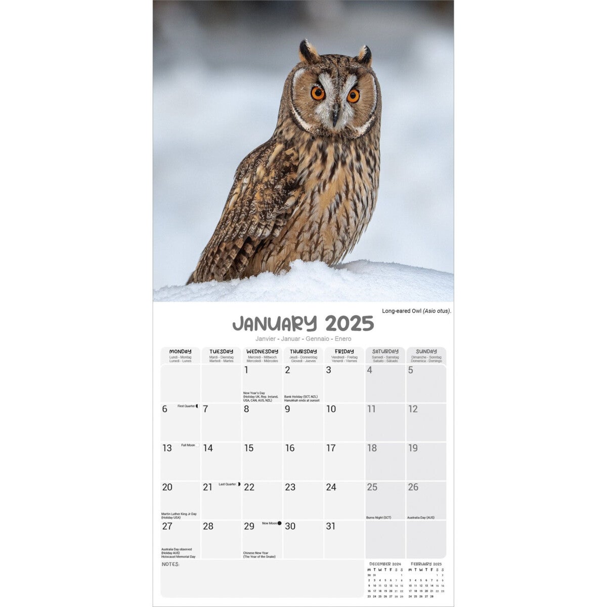 Kalender 2025 Owls 30x30cm