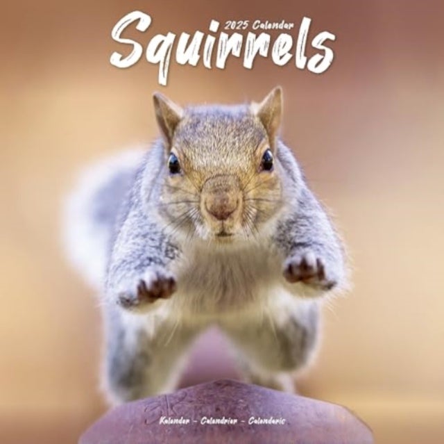 Kalender 2025 Squirrels 30x30cm