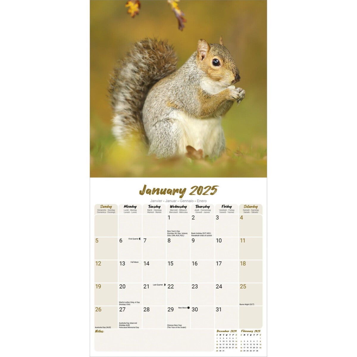 Kalender 2025 Squirrels 30x30cm