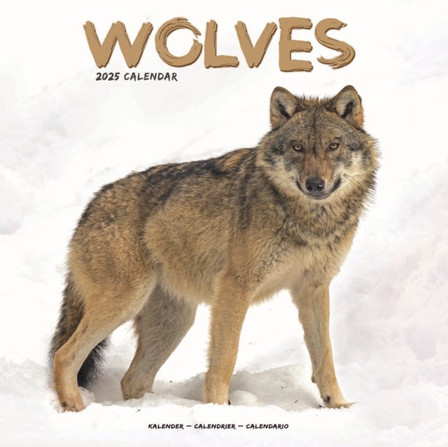Kalender 2025 Wolves 30x30cm