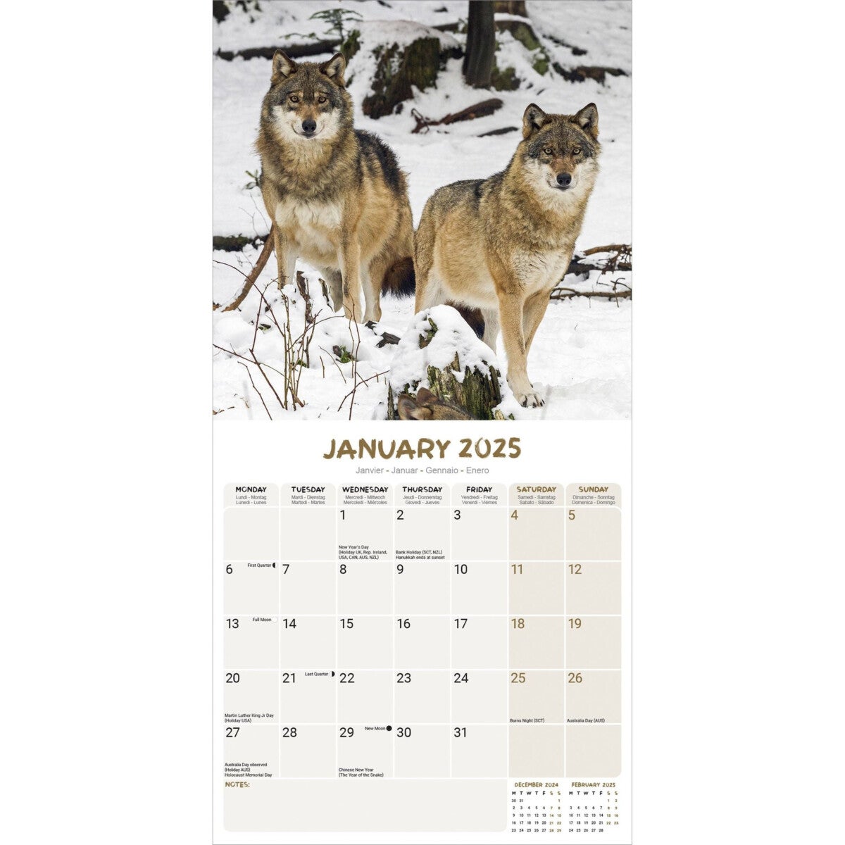 Kalender 2025 Wolves 30x30cm