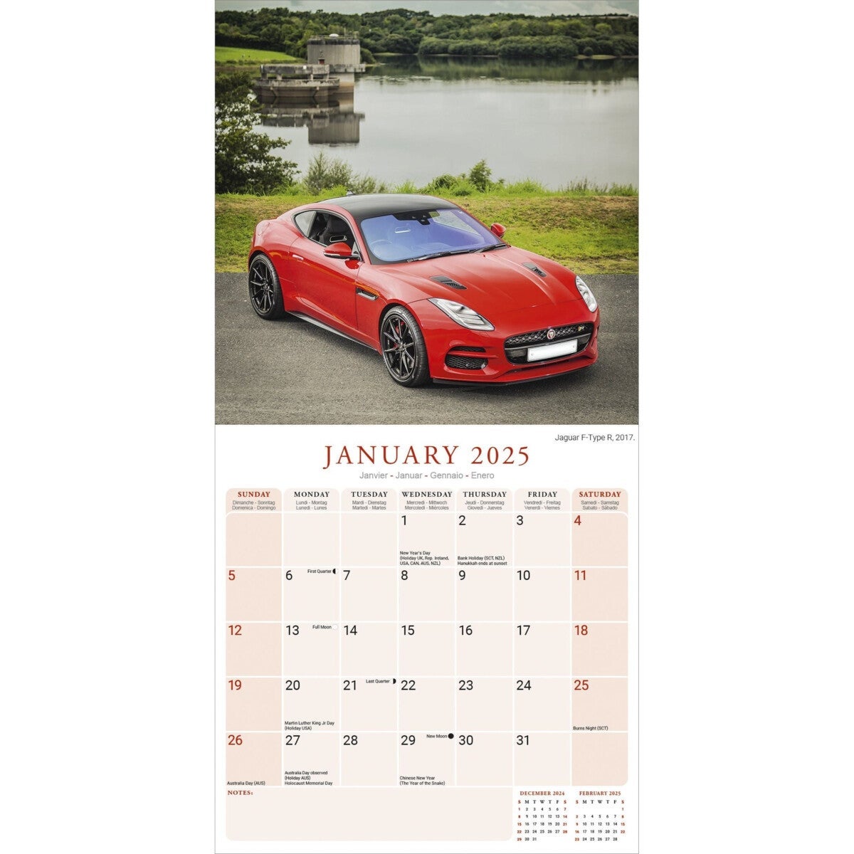 Kalender 2025 Jaguar 30x30cm