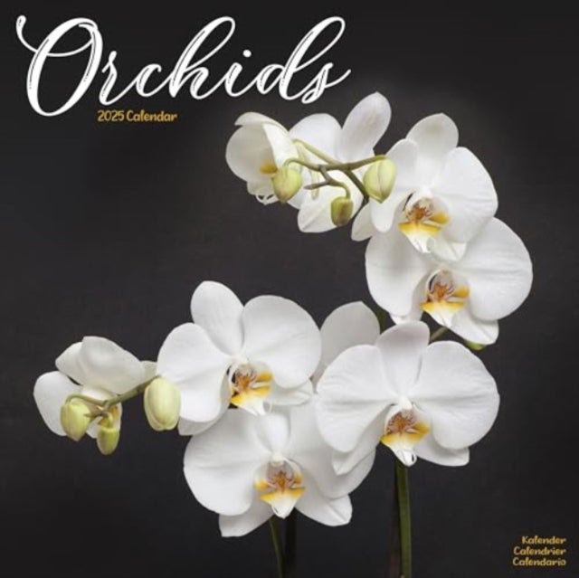 Kalender 2025 Orchids 30x30cm