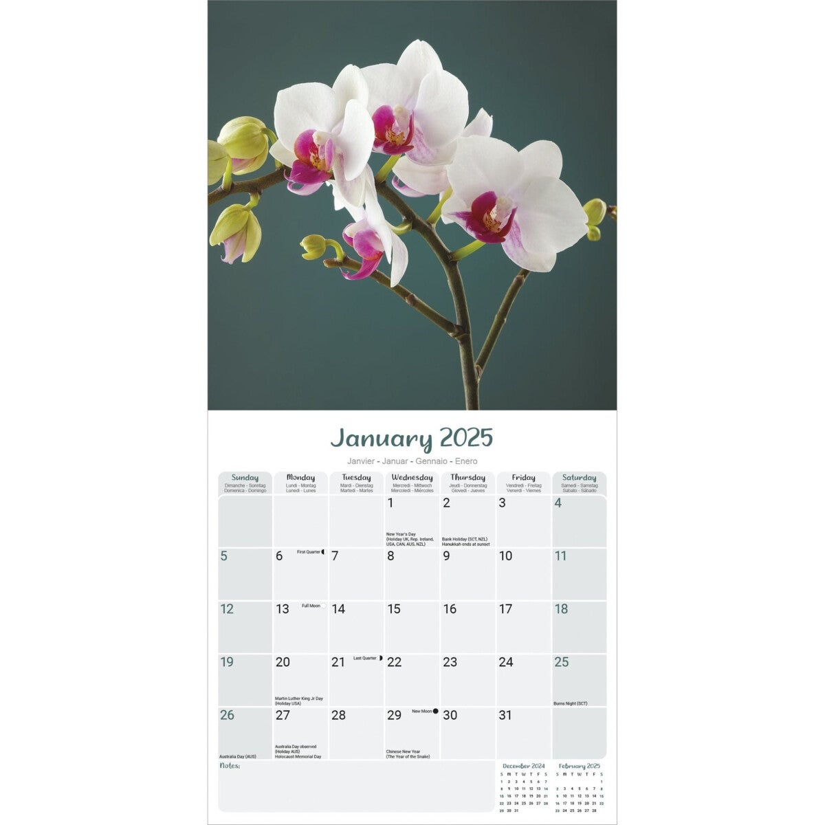 Kalender 2025 Orchids 30x30cm