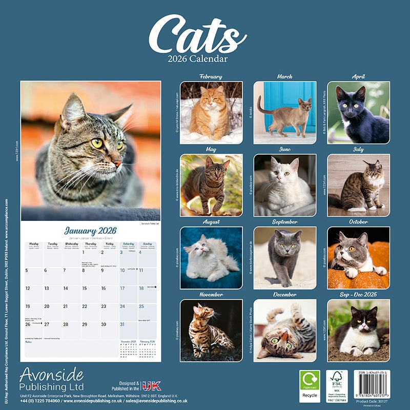 Kalender 2026 30x30 Cats