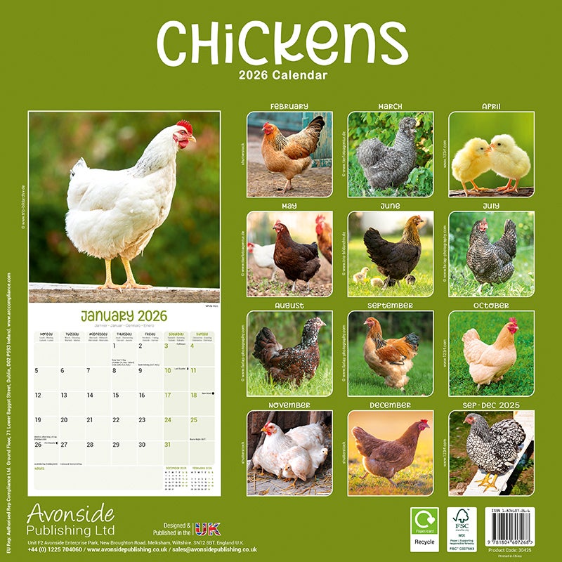 Kalender 2026 30x30 Chickens