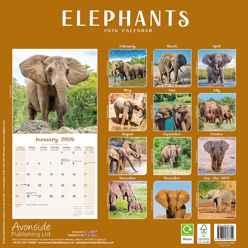 Kalender 2026 30x30 Elephants