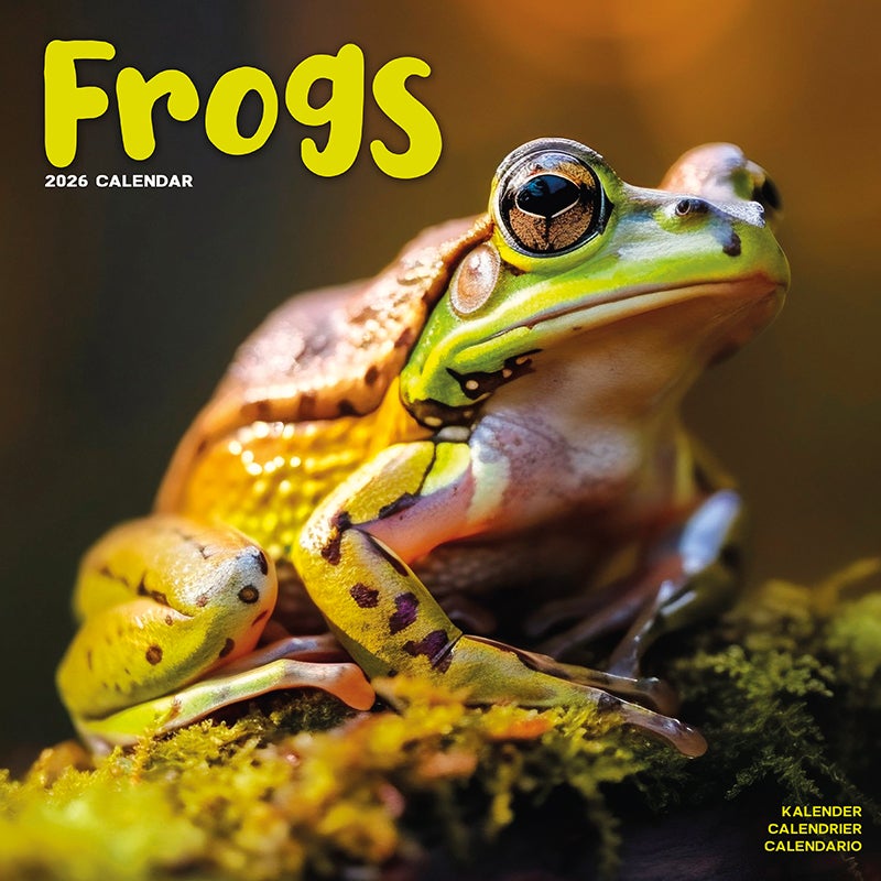 Kalender 2026 30x30 Frogs