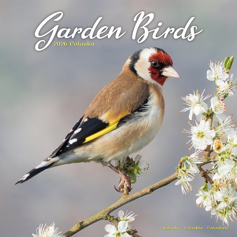 Kalender 2026 30x30 Garden Birds