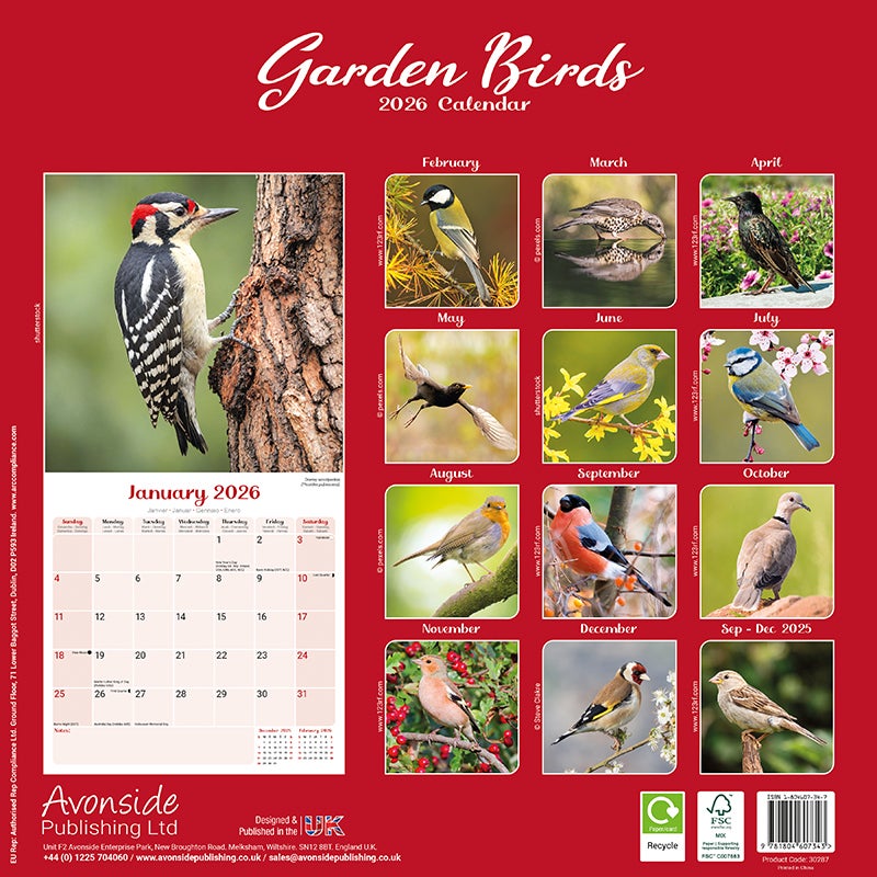 Kalender 2026 30x30 Garden Birds