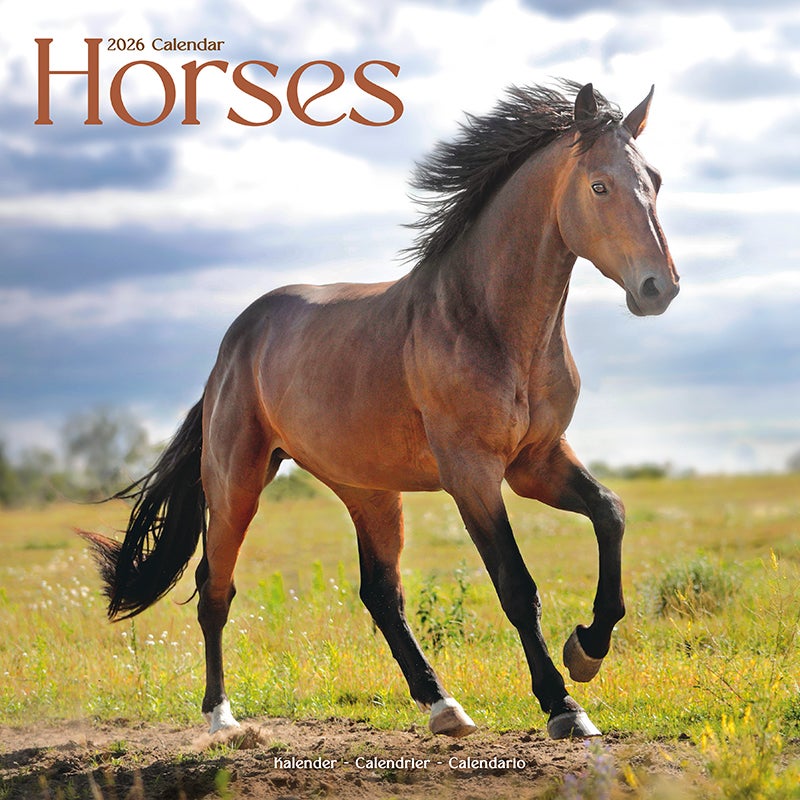 Kalender 2026 Horses 30x30cm