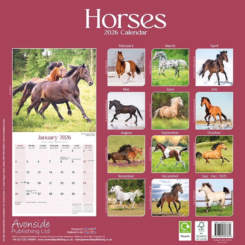 Kalender 2026 Horses 30x30cm