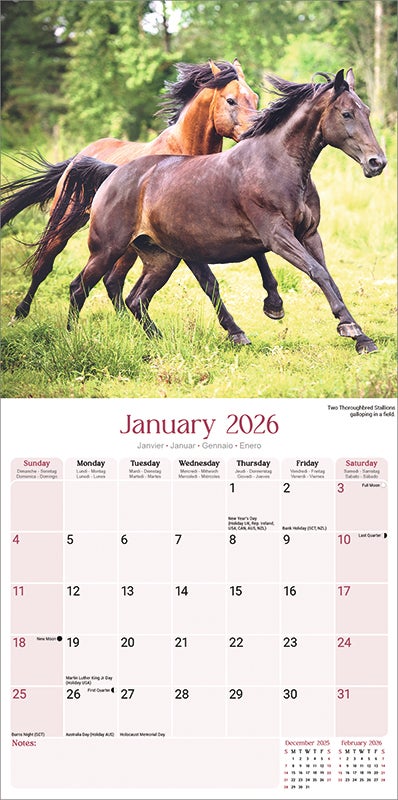 Kalender 2026 Horses 30x30cm