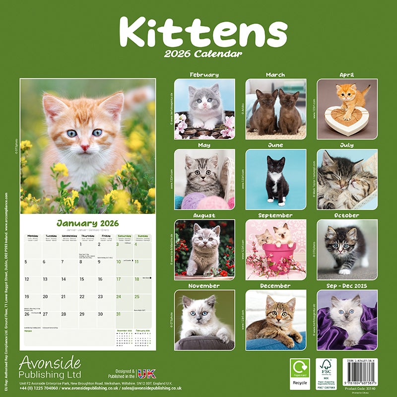 Kalender 2026 Kittens 30x30cm