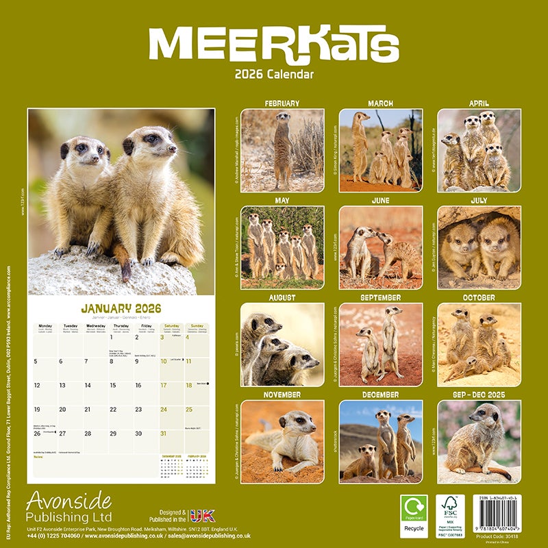 Kalender 2026 30x30 Meerkats