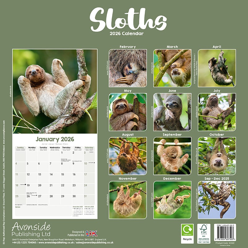 Kalender 2026 30x30 Sloths