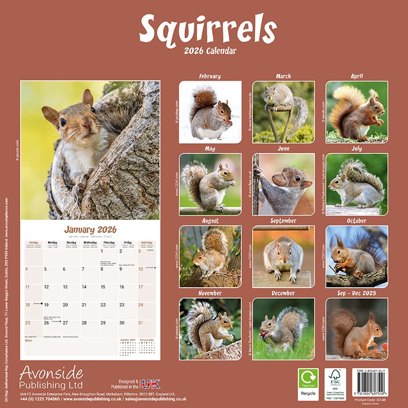 Squirrels Calendar 2026  Square Animal Wall Calendar - 16 Month