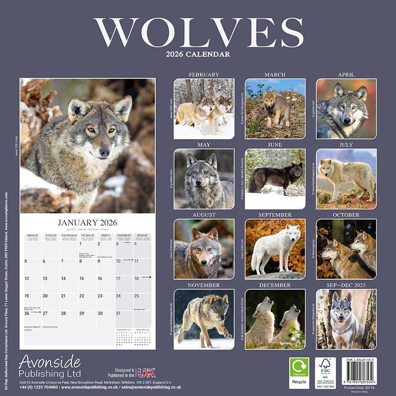 Kalender 2026 30x30 Wolves