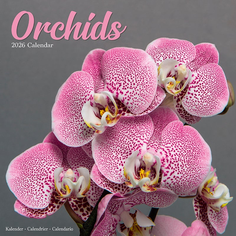 Kalender 2026 30x30 Orchids