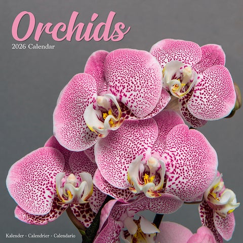 Kalender 2026 30x30 Orchids