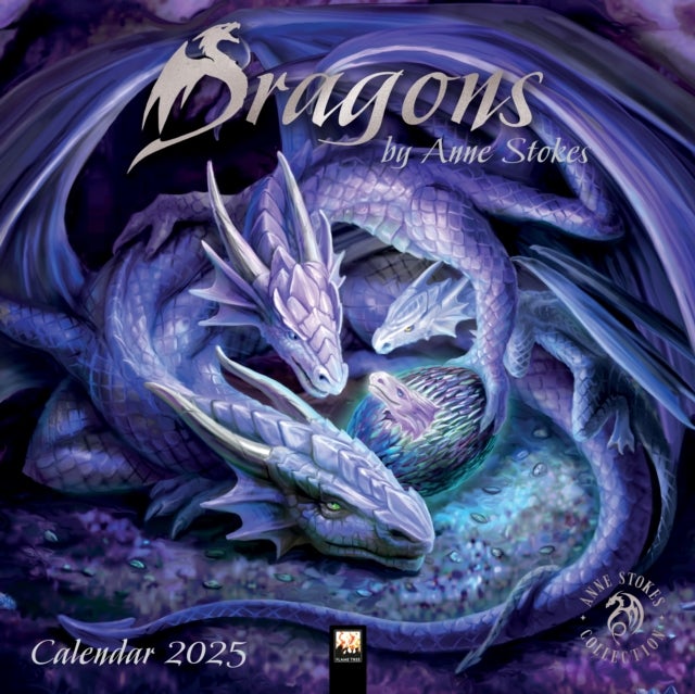 Kalender 2025 Dragons 30x30cm